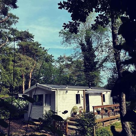Knus Chalet Midden In De Bossen نونسبيت المظهر الخارجي الصورة